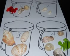 the preschool toolbox is filled with seashells and other sea creatures to learn how to use them