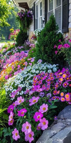 colorful flowers line the side of a house