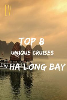 the top 8 unique cruises in halong bay