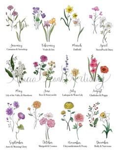 an illustrated guide to wildflowers and their names on a white background with the words,