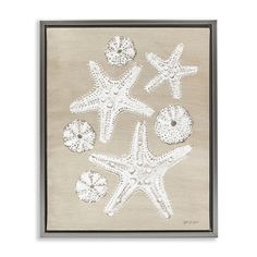 an image of starfishs on the beach in white and black framed canvases