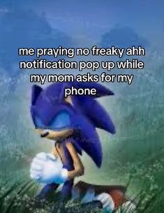 Sonic Praying, Sonic And Amy Matching Pfp, Shadow The Hedgehog Funny, Trans Sonic, Sonic Quotes, Silly Sonic, Sonic Meme, Sonic Pfps, Sonic Funny