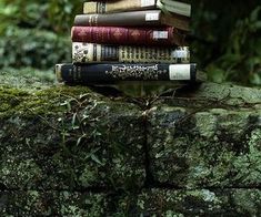 a stack of books sitting on top of a moss covered rock