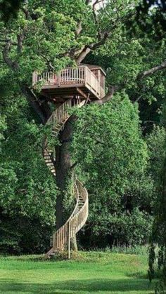 a tree house built into the side of a large tree