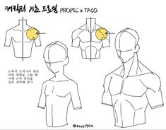 남성 근육, Drawing Examples