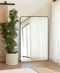 a mirror sitting on top of a wooden floor next to a plant in a pot