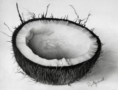 a black and white photo of a coconut