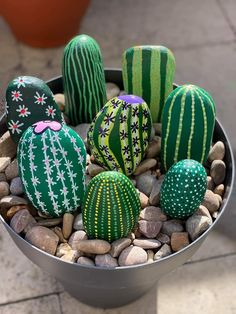 there are many small cactuses in the pot on the rocks and graveled ground