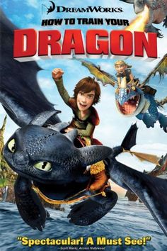 the poster for how to train your dragon