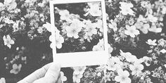 a person holding up a polaroid in front of some flowers and bushes with one hand