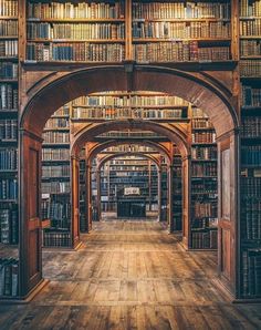 an arch in the middle of a library with bookshelves on both sides and wooden floors