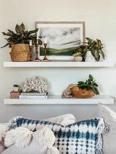 two white shelves with plants and books on them, one shelf is filled with other items