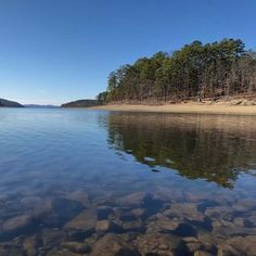 clear water with rocks and trees in the background