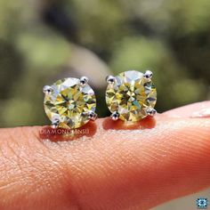 Yellow Moissanite Earrings, Moissanite Stud Earrings, 1.60 TW Round Moissanite Earrings, Gift for Her, Earrings for Women, Anniversary Gift, Screw Back/Puch Back Earrings, Earrings for Gift, Moissanite Diamond Earrings Description of Earrings   ● Moissanite Details → Shape: Round Brilliant Cut Moissanite → Size: 1.60 TCW → Color: Canary Yellow → Clarity: VVS → Measurement: 6.00 MM → Luster: Excellent → Make: High Quality Why buy from Diamondrensu? *Designed and Handcrafted by Diamondrensu. *24 x 7 Customer Service *30 days full refund policy *Customization Available *Free Engraving *Secured Shipping Worldwide Diamondrensu on Etsy https://www.etsy.com/shop/diamondrensu This ring features *Stud Earrings *Four Claw Prong *Solitaire Earrings *Uniquely Handmade Matching Pieces   ● Engagement Ri Solitaire Earrings, Claw Prong, Moissanite Earrings, Canary Yellow, Round Moissanite, Moissanite Diamonds, Jewelry Earrings Studs, Earrings For Women, Ring Verlobung