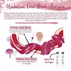 an info sheet describing the benefits of blood