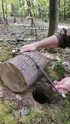 a man is cutting down a large tree trunk