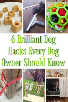 there is a collage of different things that are in this photo and the words brilliant dog hacks every dog owner should know