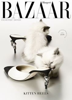 the cover of harper magazine features kittens in high heels