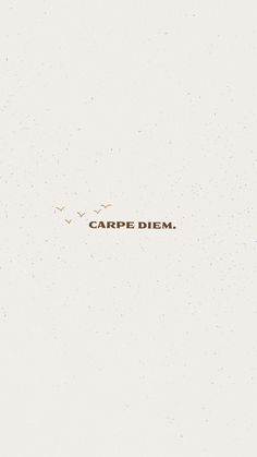 the words carpe diem are written in brown ink