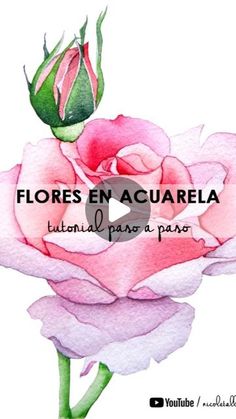 a pink rose with the words flores en acuarela written in spanish