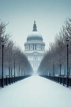 a building with a dome in the middle of it surrounded by trees and snow covered ground