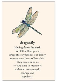 a dragonfly is shown on the back of a card that reads,'dragonfly having flown the earth for 300 million years, dagonics symbolize our ability to overcome