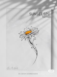 the sun is shining down on a flower with long, thin lines in front of it