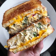 a hand holding a sandwich with chicken and cheese on it in front of a plate