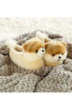 Love! Cute, Boo slippers. World Cutest Dog, Dog Slippers, Boo The Dog, Famous Dogs, Bedroom Slippers, Cute Slippers, Comfy Cozy, Ciabatta