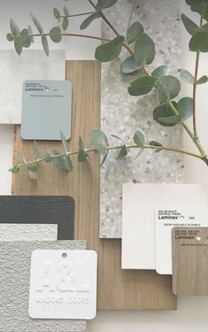 some white and grey paint samples are next to a green leafy plant on the wall