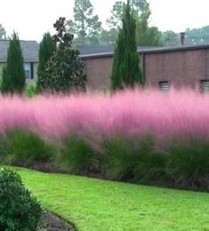 pink flowers are in the foreground and green grass on the other side of the building