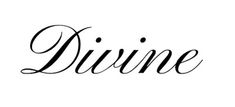 the word divine written in cursive writing with black ink on a white background