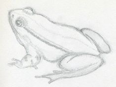 a drawing of a frog sitting on the ground