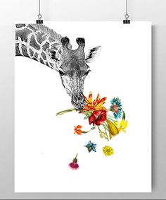 a giraffe eating from a flower on a white poster hanging on a wall