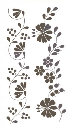 some flowers and leaves on a white background