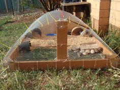 a small chicken coop with eggs in it