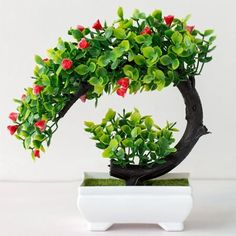 a small bonsai tree with red flowers in a white potted planter on a table