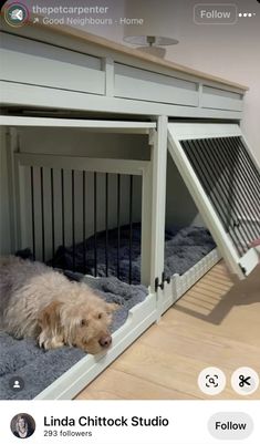 a dog is laying down in his kennel