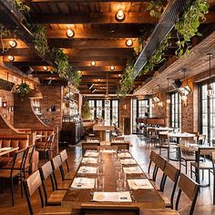 an empty restaurant with wooden tables and chairs, plants hanging from the ceiling above them