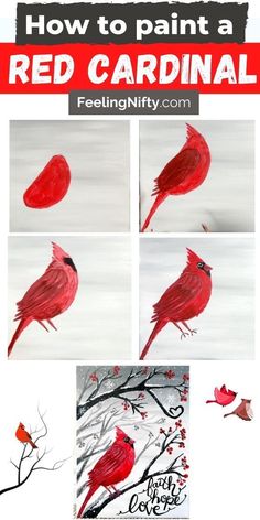 how to paint a red cardinal