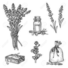 hand drawn lavender flowers and soaps in bags on white background stock photo - 7879