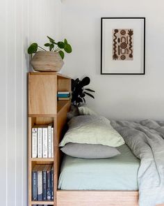 a bedroom with a bed, bookshelf and plant