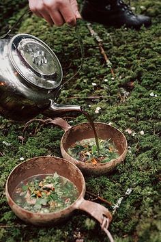 a person is pouring water into two bowls on the ground with moss growing around them