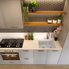 a kitchen with a stove top oven sitting next to a sink and shelves filled with potted plants