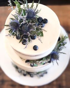 two tiered cake with blueberries and greenery on top