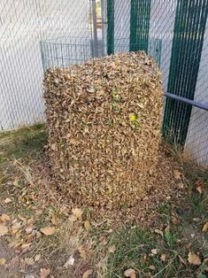 a pile of leaves sitting in the grass next to a fence