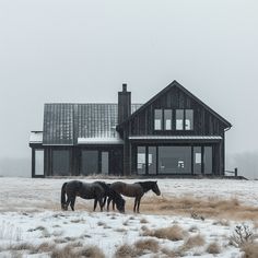 two horses standing in front of a house on a snow covered field with tall grass