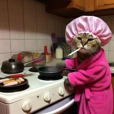 a cat in a bathrobe is brushing its teeth while standing next to an oven