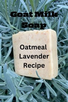 Try this simple oatmeal lavender goat milk soap recipe. Cold Process Soap Ideas, Simple Oatmeal, Lavender Recipes, Dried Orange Peel, Goats Milk Soap, Soap Ideas, Sweet Orange Essential Oil