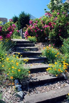 some steps that are surrounded by flowers and trees